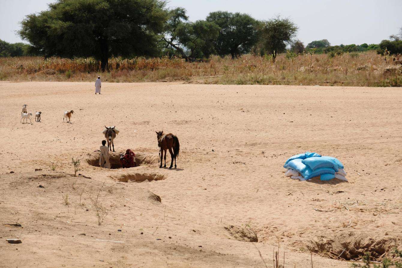 People search for water from a hole dug in the desert near Metche refugee camp in eastern Chad.